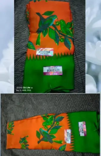 Orange & Green Saree -with Blouse